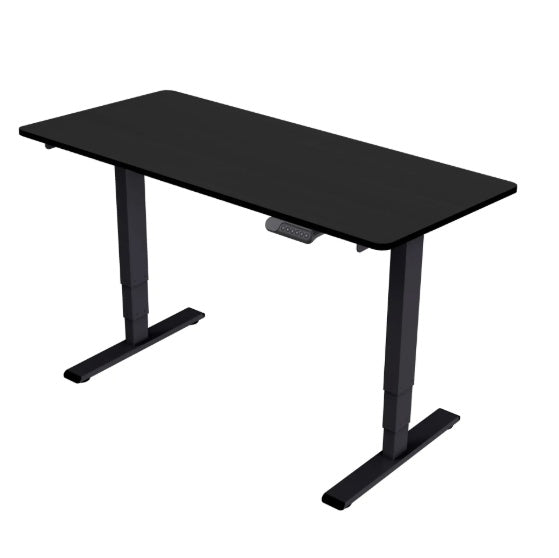 Electric Standing Desk Dual Motor 3 Stages Adjustable Height Desk Home Office Computer Workstation Sit Stand Up Desk, 55 X 28 Inch