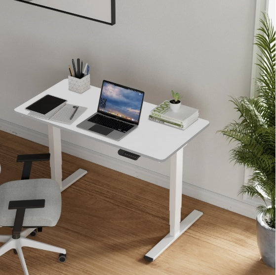 Electric Standing Desk Dual Motor 3 Stages Adjustable Height Desk Home Office Computer Workstation Sit Stand Up Desk, 55 X 28 Inch
