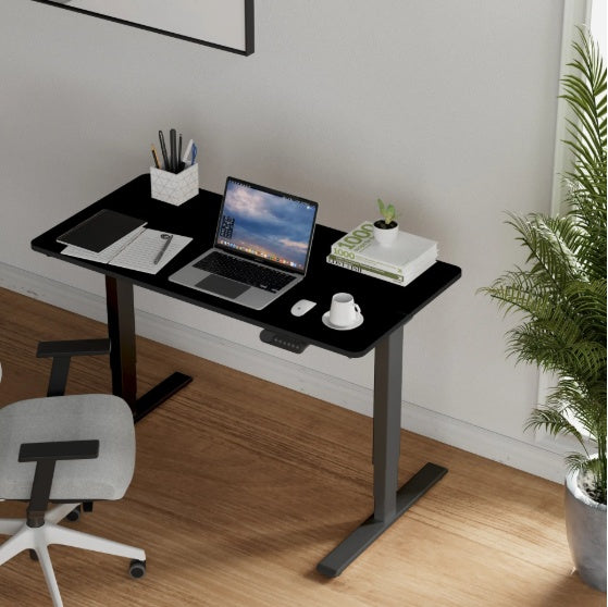 Electric Standing Desk Dual Motor 3 Stages Adjustable Height Desk Home Office Computer Workstation Sit Stand Up Desk, 55 X 28 Inch