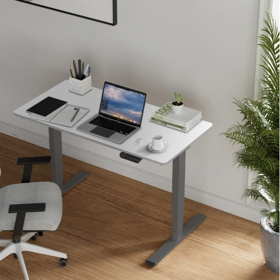 Electric Standing Desk Dual Motor 3 Stages Adjustable Height Desk Home Office Computer Workstation Sit Stand Up Desk, 55 X 28 Inch