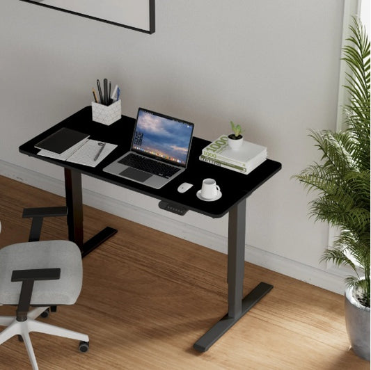 Electric Standing Desk Dual Motor 3 Stages Adjustable Height Desk Home Office Computer Workstation Sit Stand Up Desk, 55 X 28 Inch